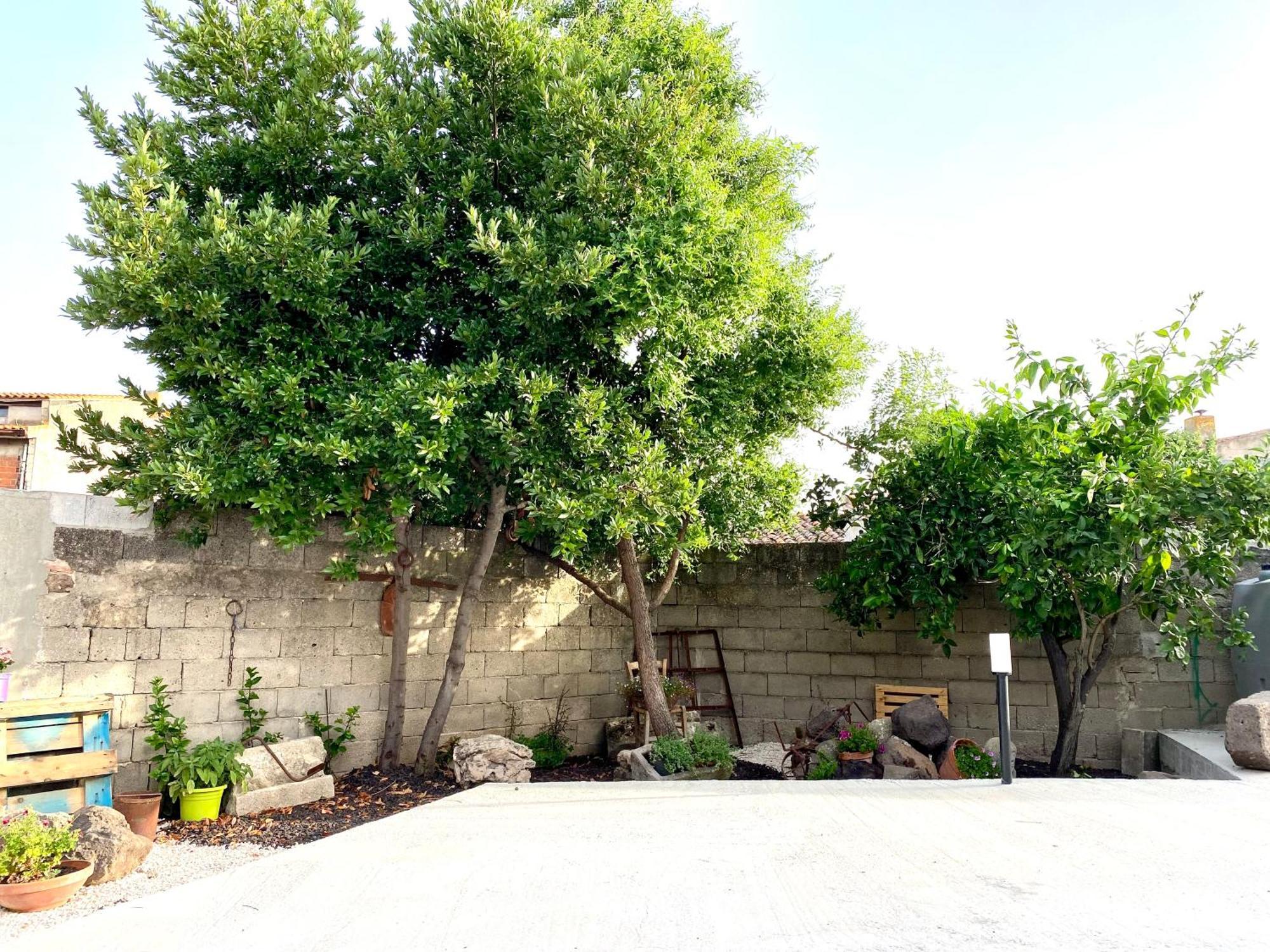 Casa Meli Apartment San Vero Milis Екстериор снимка